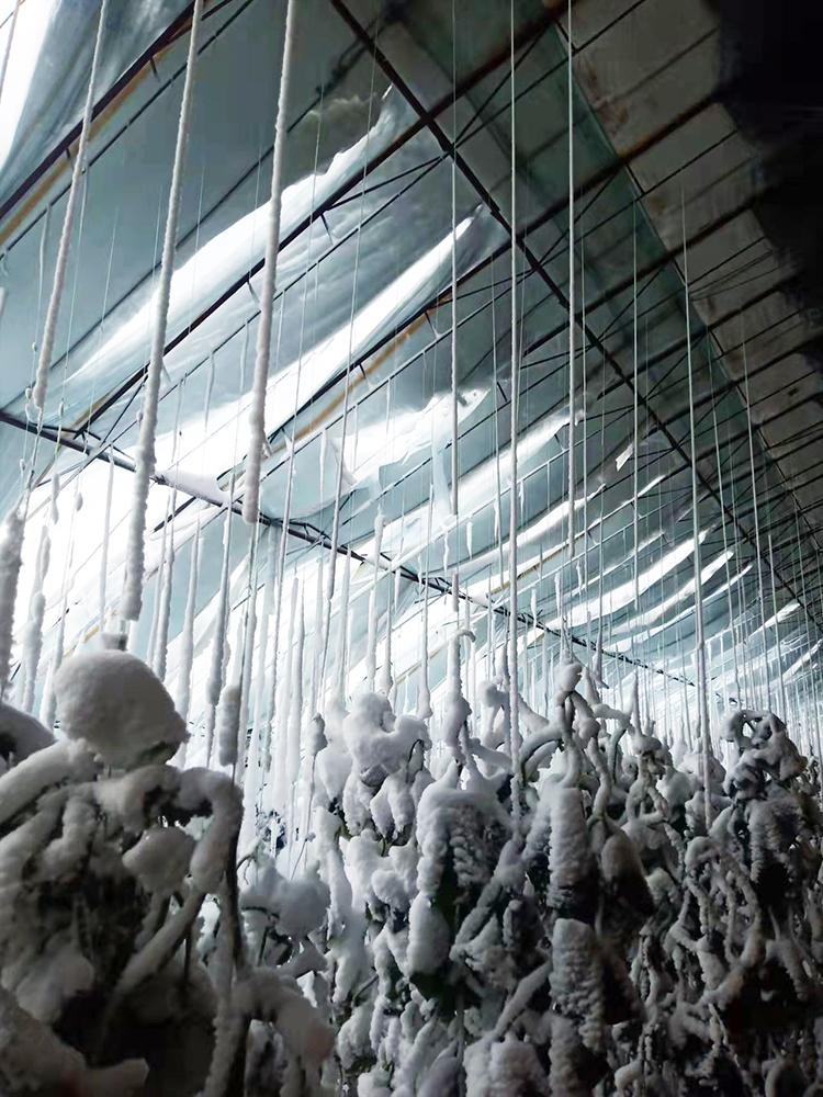 受災750.jpg 受災750.jpg