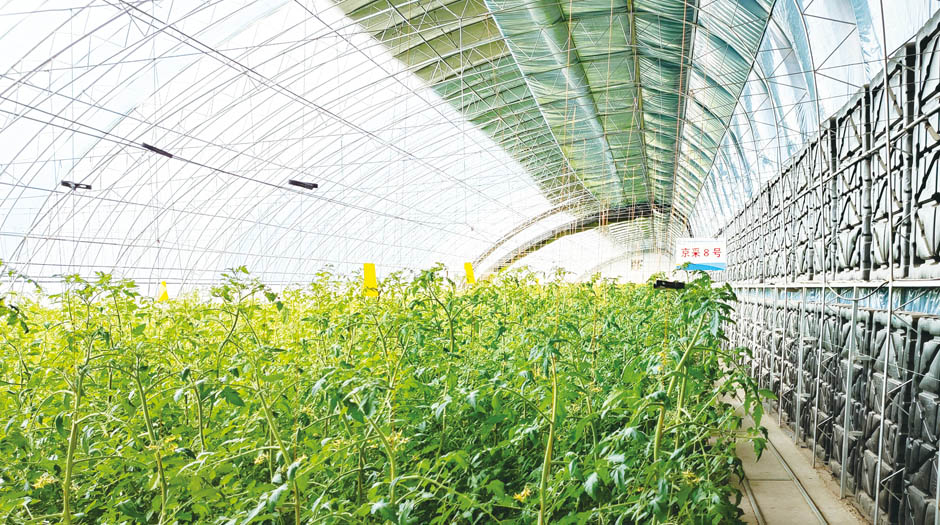 石拐網站4圖940.jpg 石拐網站4圖940.jpg