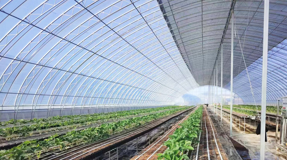 石拐網站5圖940.jpg 石拐網站5圖940.jpg