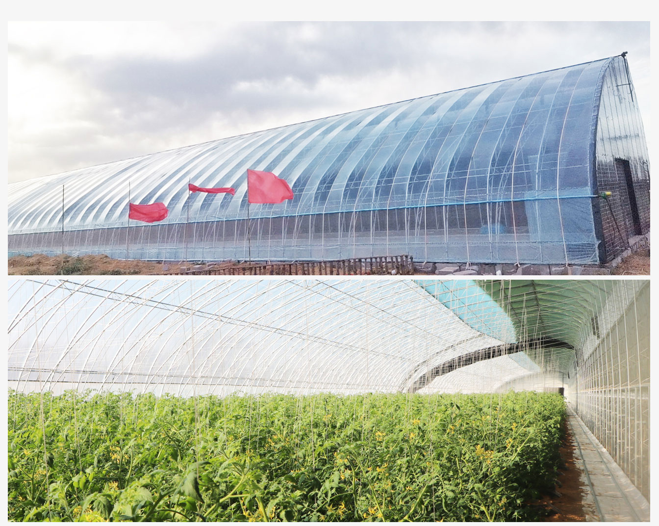 鄂爾多斯市烏審旗烏蘭陶勒蓋鎮水蓄熱內保溫裝配式日光溫室建設項目_07.jpg 鄂爾多斯市烏審旗烏蘭陶勒蓋鎮水蓄熱內保溫裝配式日光溫室建設項目_07.jpg
