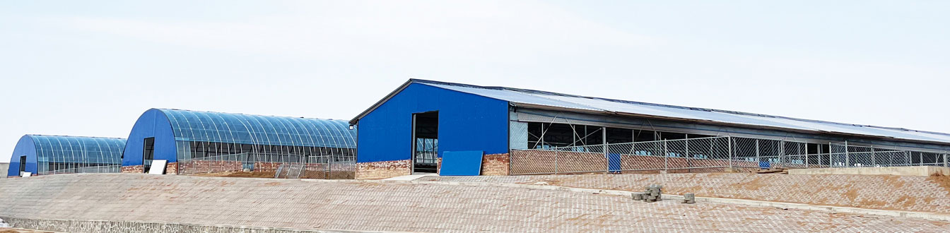 黃花灘村肉羊育繁推一體化養(yǎng)殖項目_08.jpg 黃花灘村肉羊育繁推一體化養(yǎng)殖項目_08.jpg