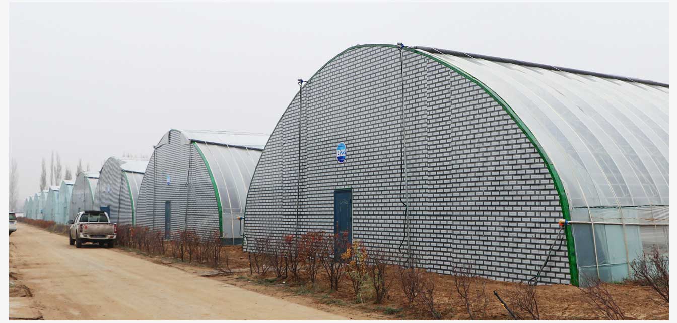 準格爾旗現(xiàn)代智慧設(shè)施農(nóng)業(yè)產(chǎn)業(yè)園(網(wǎng)頁)_24.jpg 準格爾旗現(xiàn)代智慧設(shè)施農(nóng)業(yè)產(chǎn)業(yè)園(網(wǎng)頁)_24.jpg