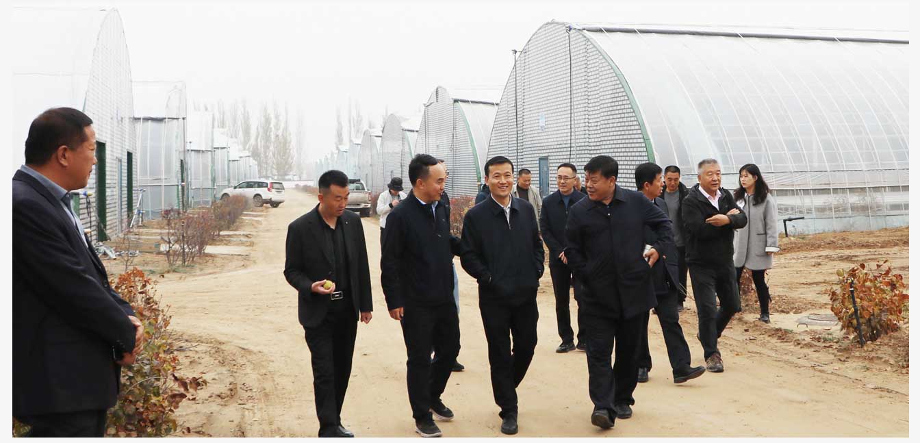準格爾旗現(xiàn)代智慧設(shè)施農(nóng)業(yè)產(chǎn)業(yè)園(網(wǎng)頁)_27.jpg 準格爾旗現(xiàn)代智慧設(shè)施農(nóng)業(yè)產(chǎn)業(yè)園(網(wǎng)頁)_27.jpg