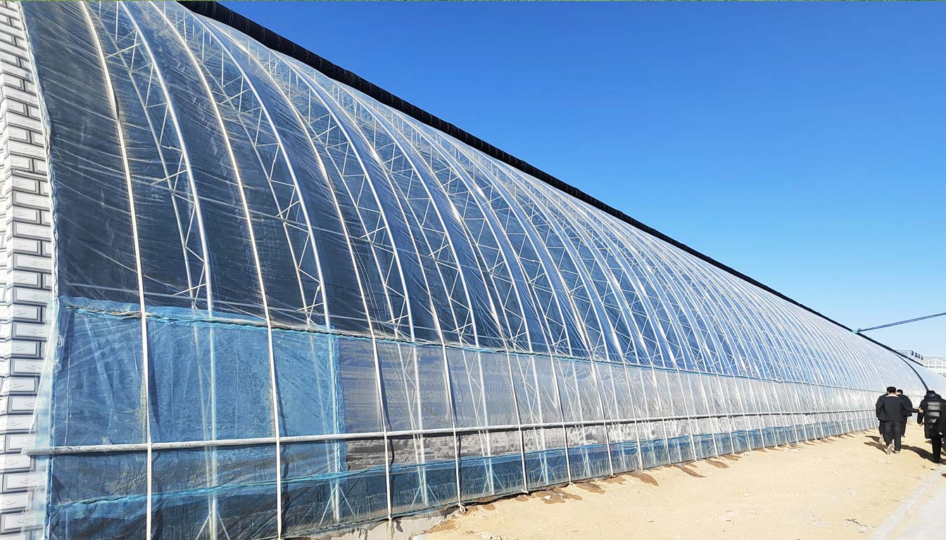 大路鎮(zhèn)苗家灘社區(qū)項(xiàng)目-智能溫室、日光溫室建設(shè)項(xiàng)目_08.jpg 大路鎮(zhèn)苗家灘社區(qū)項(xiàng)目-智能溫室、日光溫室建設(shè)項(xiàng)目_08.jpg