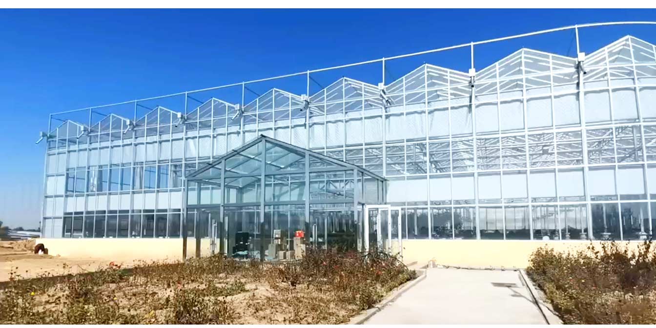 大路鎮(zhèn)苗家灘社區(qū)項(xiàng)目-智能溫室、日光溫室建設(shè)項(xiàng)目_13.jpg 大路鎮(zhèn)苗家灘社區(qū)項(xiàng)目-智能溫室、日光溫室建設(shè)項(xiàng)目_13.jpg