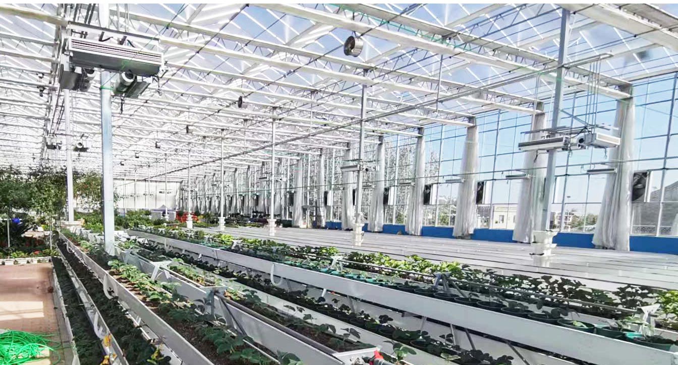 大路鎮(zhèn)苗家灘社區(qū)項(xiàng)目-智能溫室、日光溫室建設(shè)項(xiàng)目_16.jpg 大路鎮(zhèn)苗家灘社區(qū)項(xiàng)目-智能溫室、日光溫室建設(shè)項(xiàng)目_16.jpg