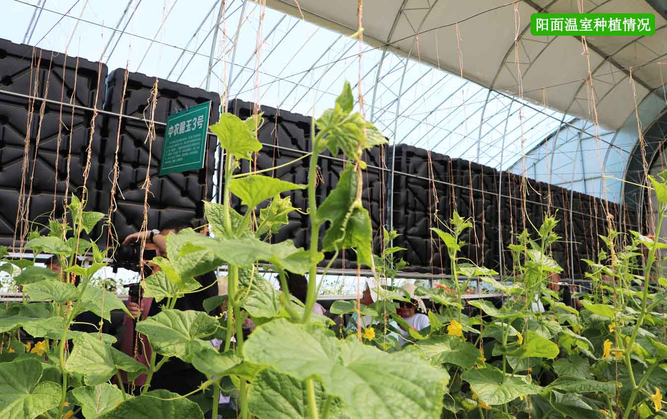 2、四季溫室網(wǎng)頁(yè)_12.jpg 2、四季溫室網(wǎng)頁(yè)_12.jpg