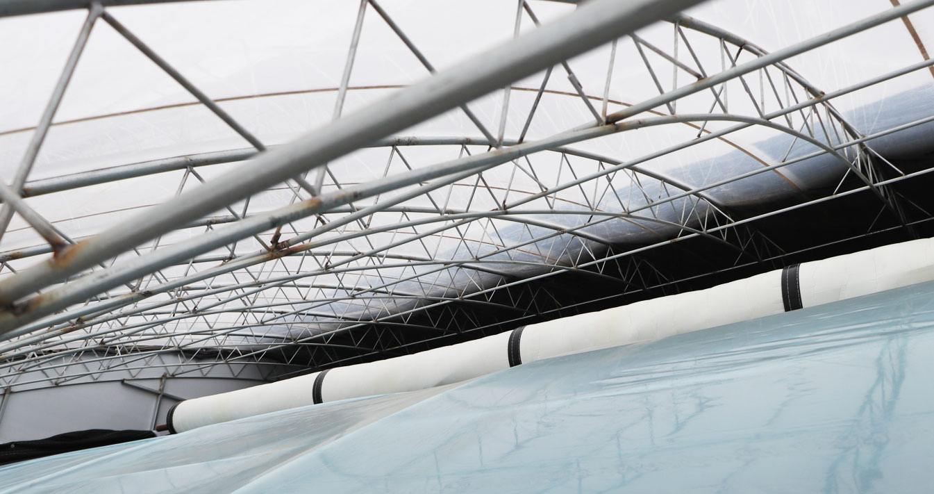 2、四季溫室網(wǎng)頁(yè)_15.jpg 2、四季溫室網(wǎng)頁(yè)_15.jpg