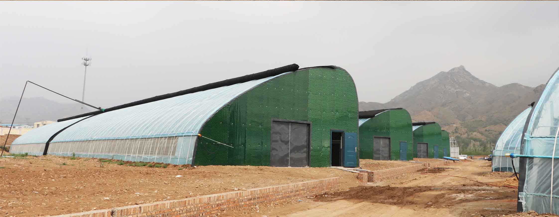 2、弧形溫室網頁_10.jpg 2、弧形溫室網頁_10.jpg