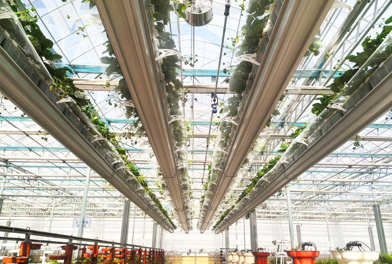 自治區綠色優質果蔬展銷中心psd-恢復的_28.jpg 自治區綠色優質果蔬展銷中心psd-恢復的_28.jpg