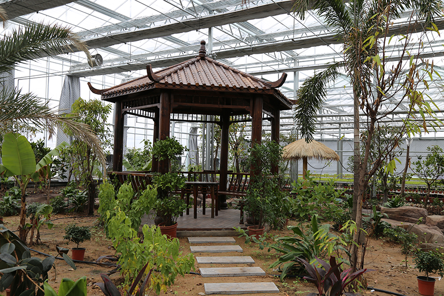 undefined 內蒙古智能溫室